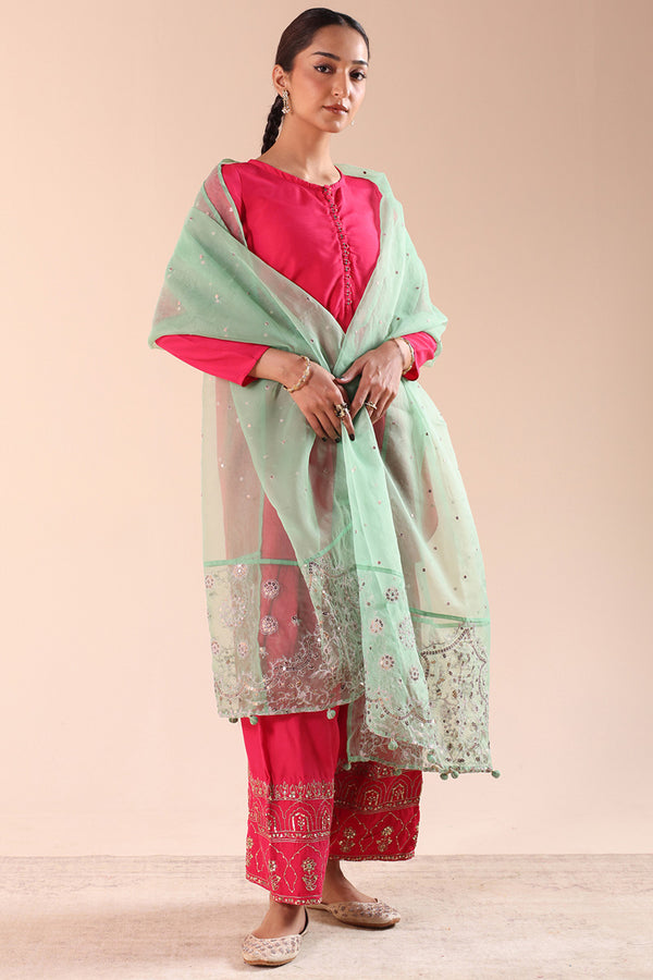 Sequin Dust Dupatta
