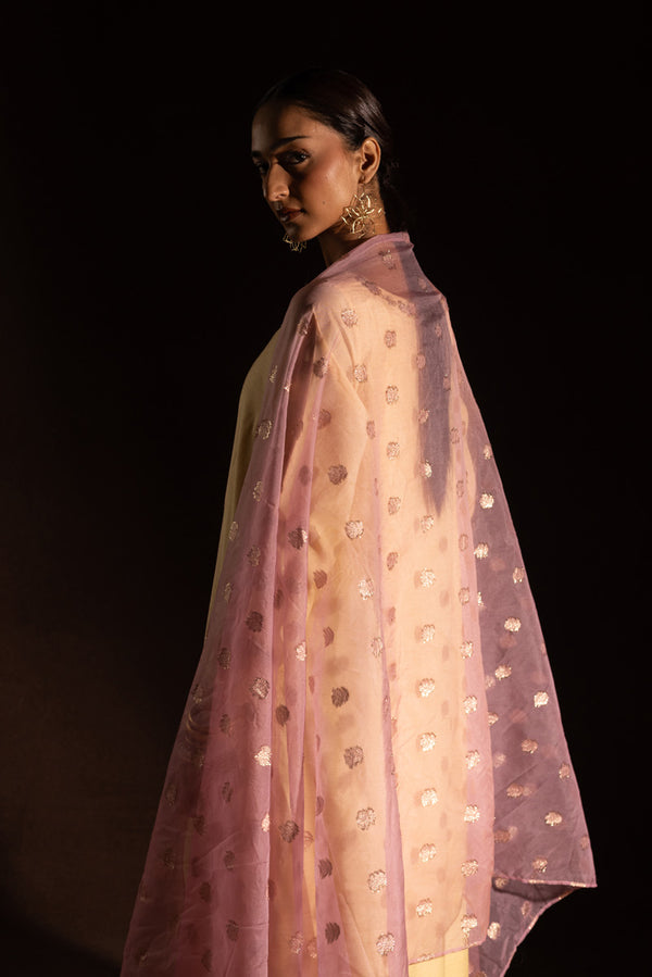 Embroidered Polki Flared Set