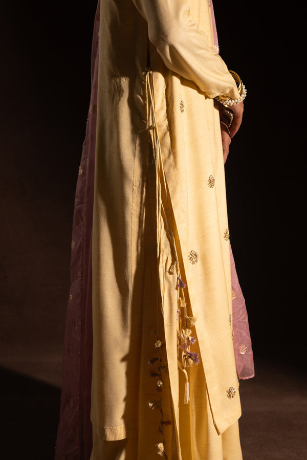 Embroidered Polki Flared Set