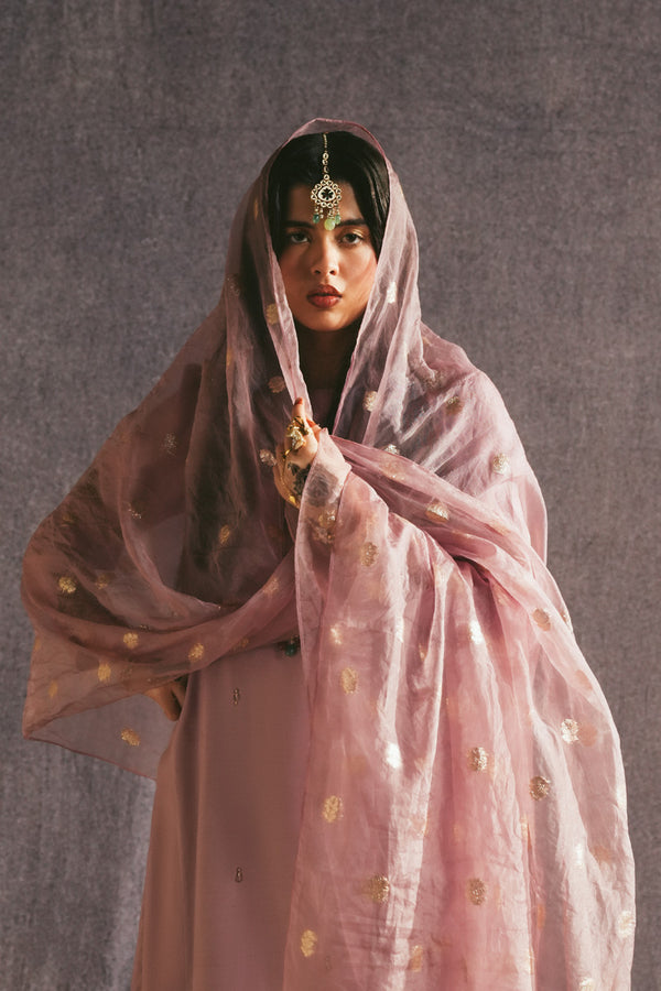 Raqs-e-Nur Sharara Set