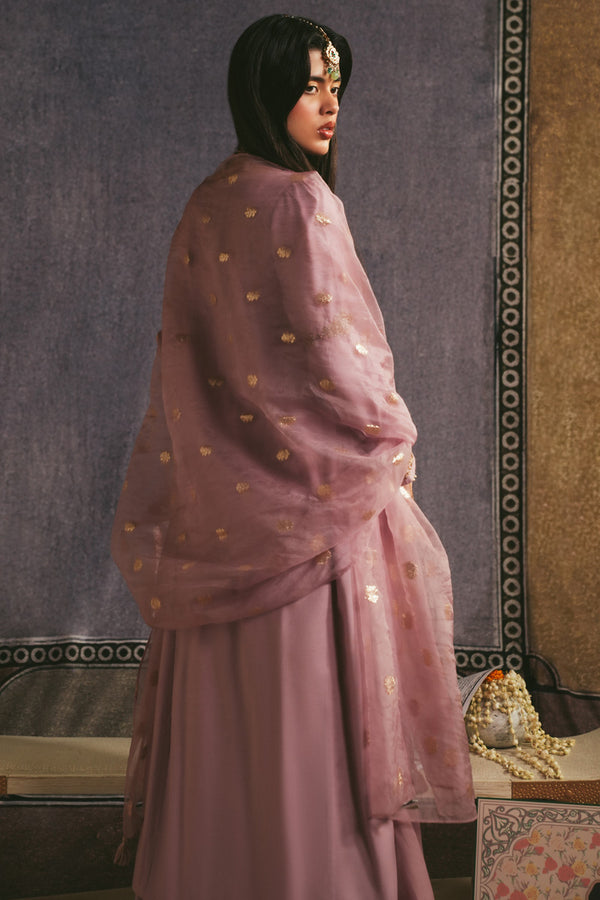 Raqs-e-Nur Sharara Set