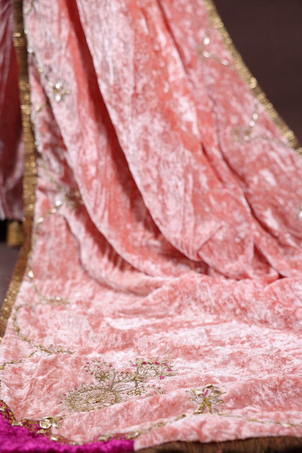 Rani Bahaar Velvet Shawl