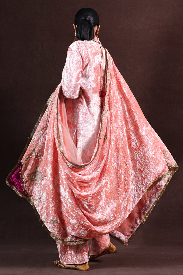 Rani Bahaar Velvet Shawl
